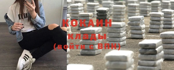 шишки Абдулино
