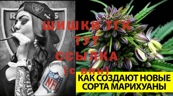 винт Абаза