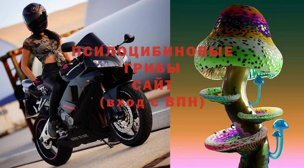 ECSTASY Надым